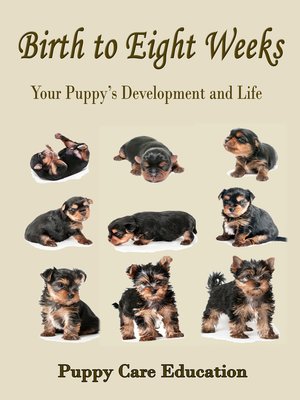 cover image of Birth to Eight Weeks